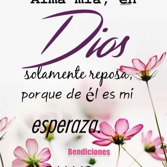 Meet your Posher, Sandra - Picture 4 of 4